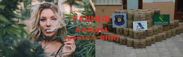 стаф Верея