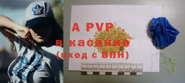стаф Верея