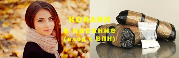 стаф Верея