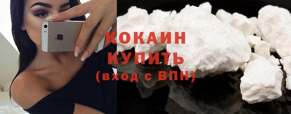 стаф Верея