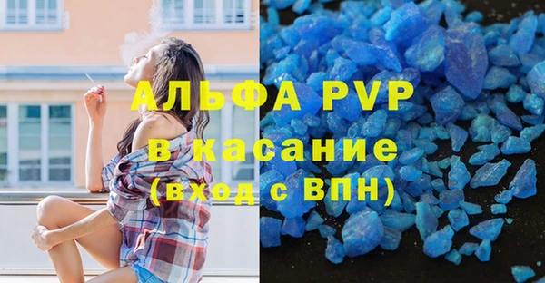 стаф Верея