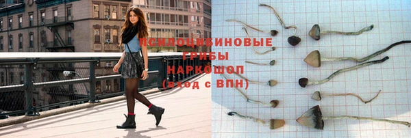 стаф Верея