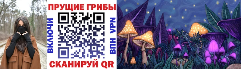 Псилоцибиновые грибы Psilocybe  мега как войти  Кирсанов 
